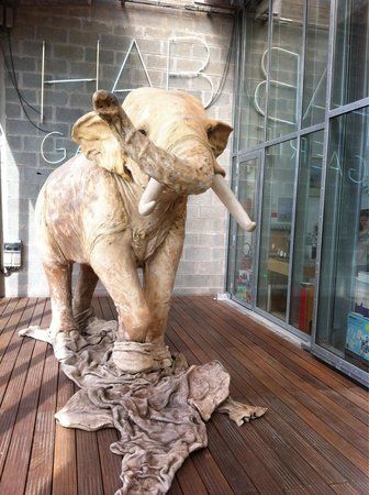 HAB Galerie Hangar a Bananes